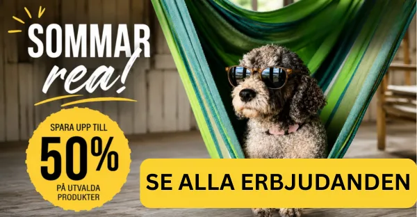 Sommar Rea